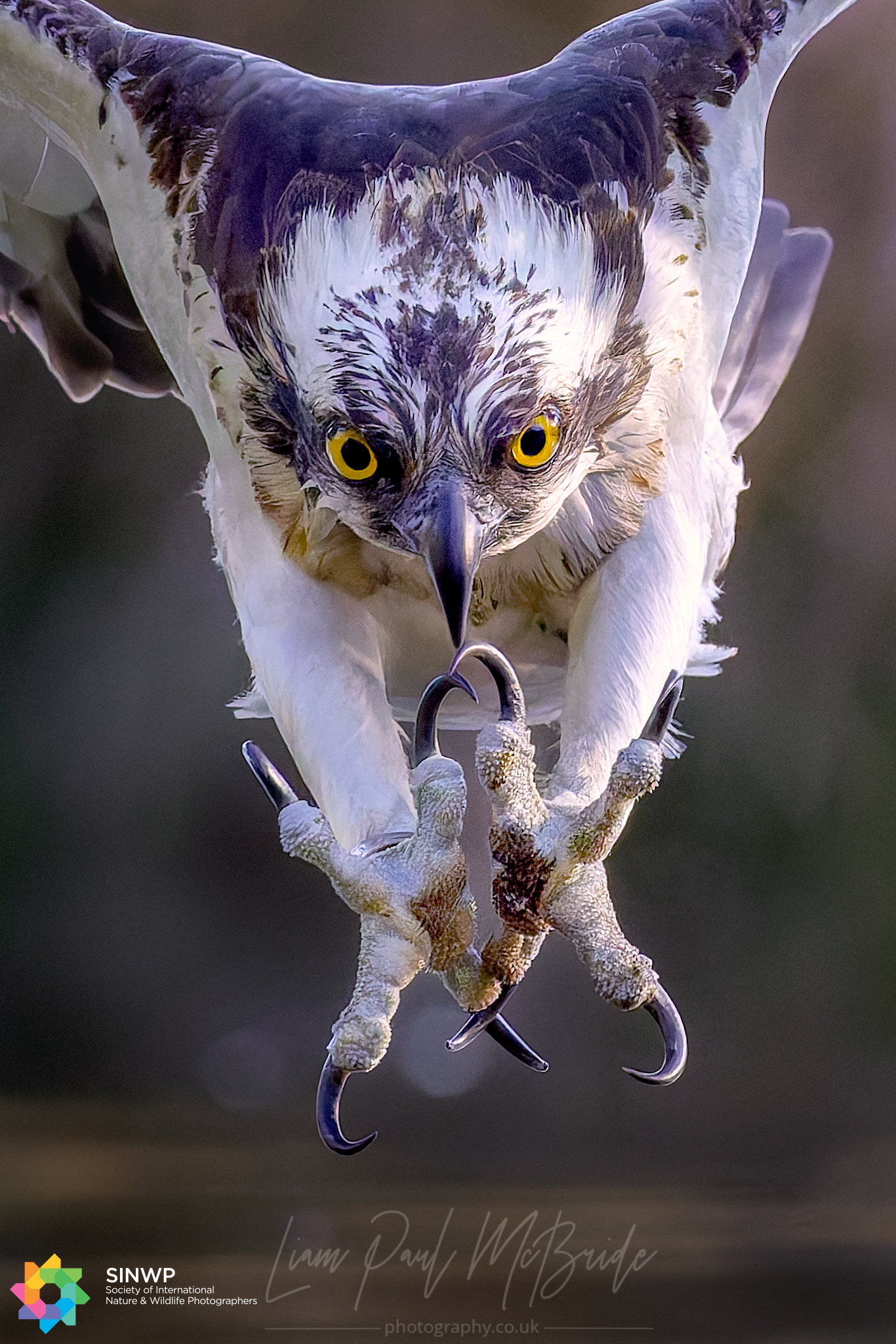 Eyes On 