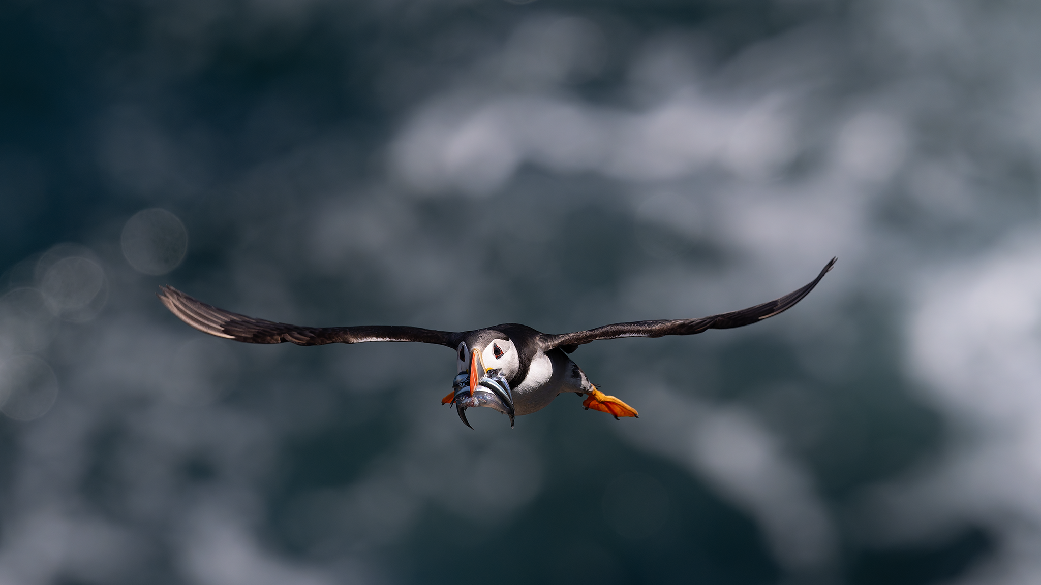 Across The Sea